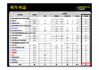 [국제경영] 터키의 유망산업-IT산업중심으로-16