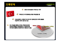 [국제경영] 터키의 유망산업-IT산업중심으로-20