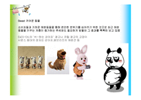 [소비자행동론] `Never say no to Panda` 광고분석-6