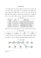 [MIS] 인터넷 전화의 발전과 전망-2