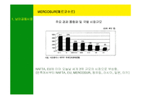 [국제경영] 남미의 국제경영-4