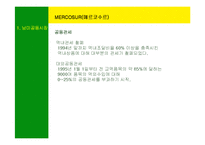 [국제경영] 남미의 국제경영-5