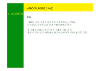 [국제경영] 남미의 국제경영-6