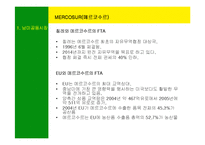 [국제경영] 남미의 국제경영-8