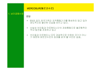 [국제경영] 남미의 국제경영-10
