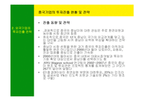 [국제경영] 남미의 국제경영-14