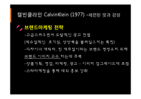 [소비자행동론] 고관여 제품 브랜드 청바지 구매자의 성향-13