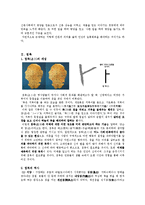 [민속학] 세속신앙(풍수, 점복, 주술, 금기)-5