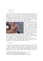 인터넷 방송 규제의 필요성-5