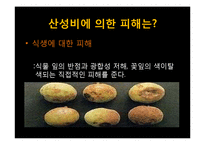 [국제환경] 대기환경보호-환경문제와 국제사회의 노력-19
