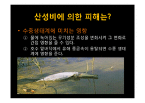 [국제환경] 대기환경보호-환경문제와 국제사회의 노력-20