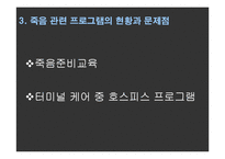 [노인복지] 노인임종-죽음 관련 복지 프로그램 문제점과 해결방안-8