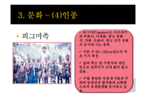카메룬 역사와 문화 및 국가이슈 조사(나이지리아 국경분쟁)-13