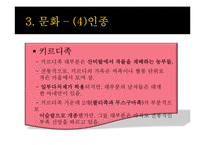 카메룬 역사와 문화 및 국가이슈 조사(나이지리아 국경분쟁)-14