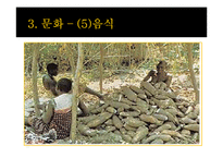 카메룬 역사와 문화 및 국가이슈 조사(나이지리아 국경분쟁)-15