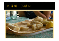 카메룬 역사와 문화 및 국가이슈 조사(나이지리아 국경분쟁)-16