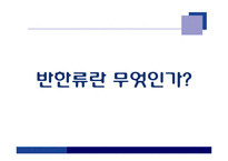 한류와 반한류 레포트-5