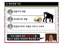 JYP Entertainment의 미국시장 진출 전략 분석-14