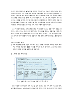 JYP Entertainment의 미국시장 진출 전략 분석-12