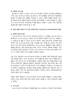 JYP Entertainment의 미국시장 진출 전략 분석-18