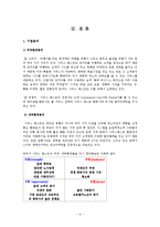사우스웨스트항공의 마케팅 성공사례-6