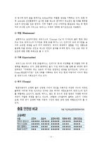 [국제경영전략] 제네시스 미국진출 성공 사례-8