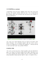 [국제경영전략] 제네시스 미국진출 성공 사례-10