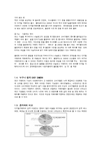 [상품기획론] 삼성디지털카메라 상품기획-9