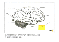 [인적자원관리] 중간관리자 주도의 지식창조 경영-15