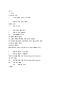 IBM의 재도약-국제 전략-18