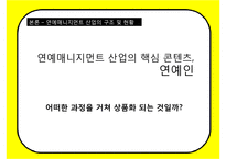 한국형 연예매니지먼트 현황과 문제점-7