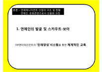 한국형 연예매니지먼트 현황과 문제점-11