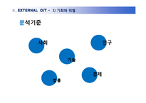 로열 캐리비언 크루즈(Royal Caribbean Cruises) 분석-9