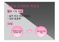 조직 변화와 개발 -GE와 GM에 사례에서-7