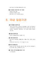 [유아교육] 입양-8