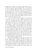 [독일 문화] 독일영화와 할리우드영화의 차이점-12