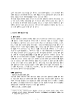 세계화와 다문화주의 -한류-3