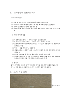 [고대문명] 리마 역사지구, 나스카와 후마나 평원-7
