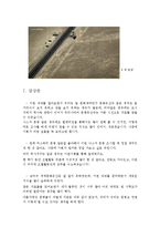 [고대문명] 리마 역사지구, 나스카와 후마나 평원-8