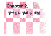 장애인에 대한 출산장려정책-9