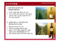 [지리학] 일본 와인산업 현지조사 계획안-12
