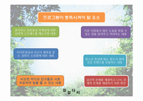 [평생교육프로그램개발]청소년 미혼모를 위한 심리 치료-9
