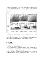 신호모델 및 해석-3