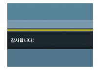 현대차 에쿠스 EQUUS 마케팅기획서-18