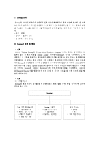 [기술경영] 보잉 Boeing의 Sonic Cruiser(항공산업의 미래 - 초음속 여객기)-3