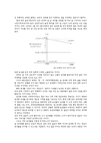 쌀 수입 관세화 조기시행에 관한 논의-4