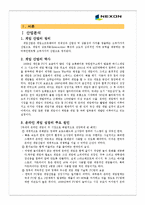 [서비스마케팅] 넥슨의 성공전략과 대응전략에 관하여-3