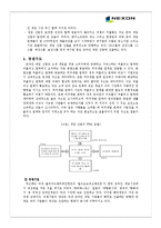 [서비스마케팅] 넥슨의 성공전략과 대응전략에 관하여-4