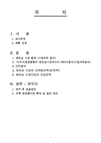 [국제마케팅] 베트남 한방화장품 진출 전략(미샤 - 금설(金雪))-2