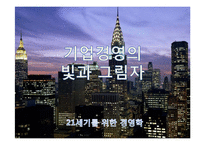 기업경영의 빛과 그림자-1